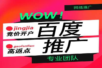 百度广告推广优化案例分析